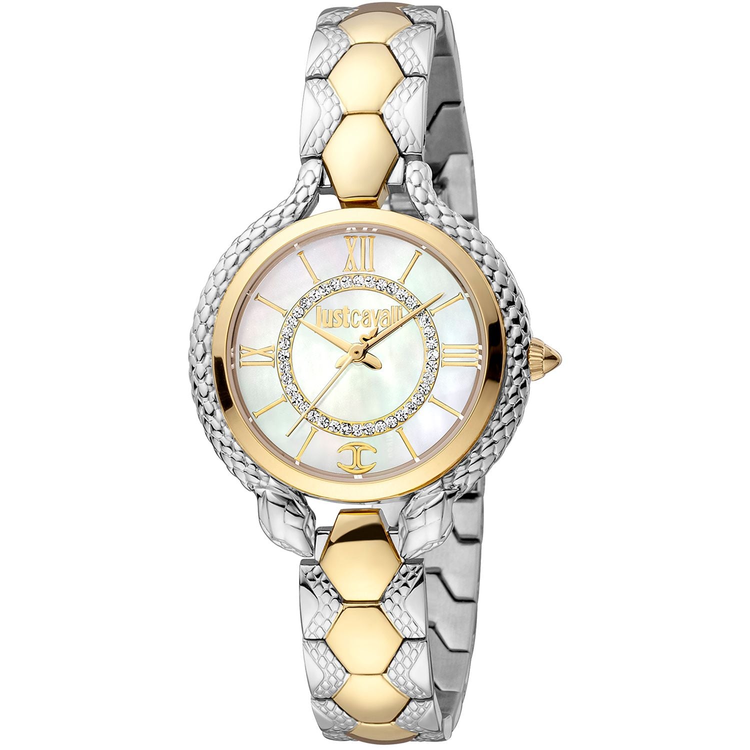 Multicolor Women Watch