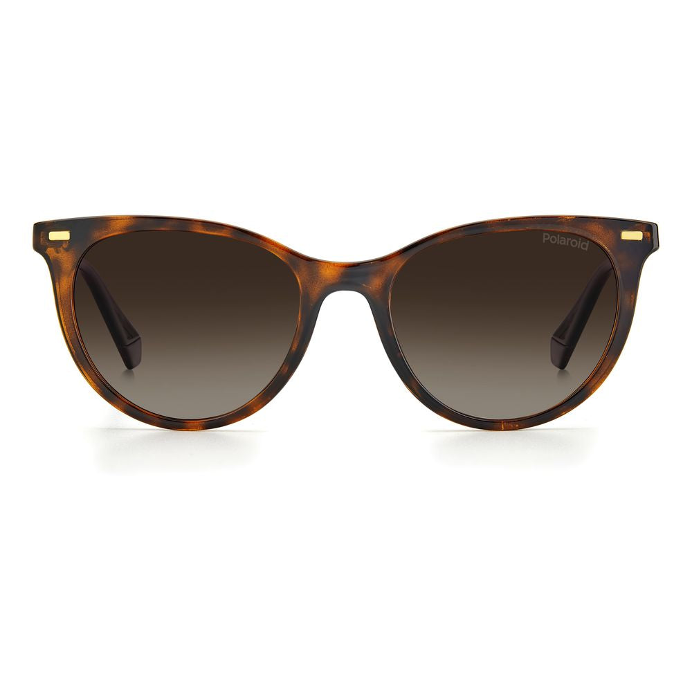 Brown Resin Sunglasses