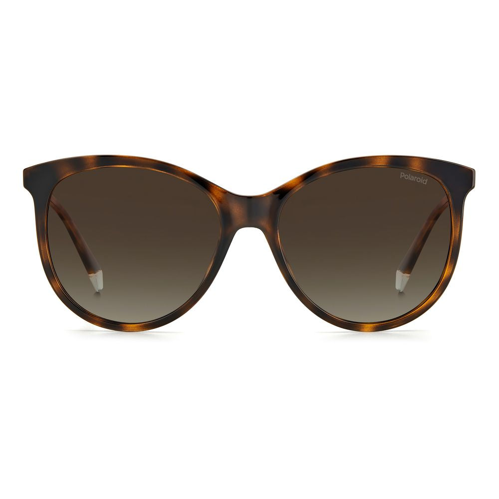 Brown Resin Sunglasses