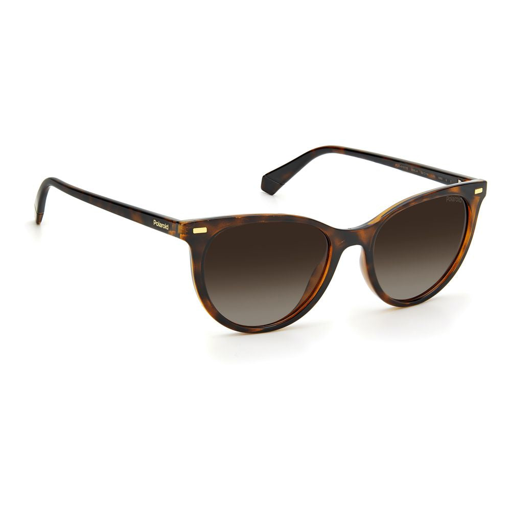 Brown Resin Sunglasses