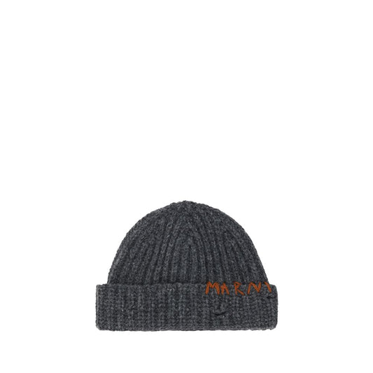 Beanie Hat